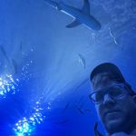 Sarasota mote Aquarim visit shark for inspiration journal